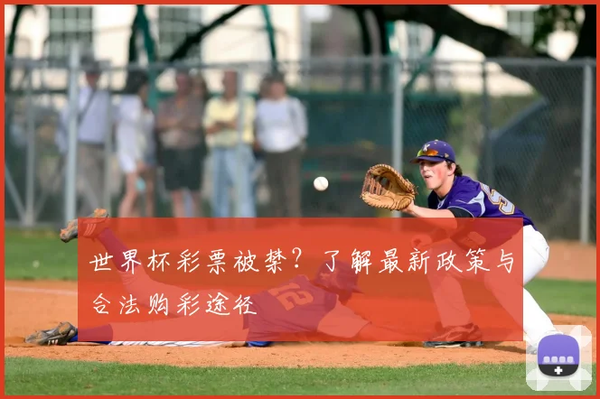 世界杯彩票被禁?了解最新政策与合法购彩途径