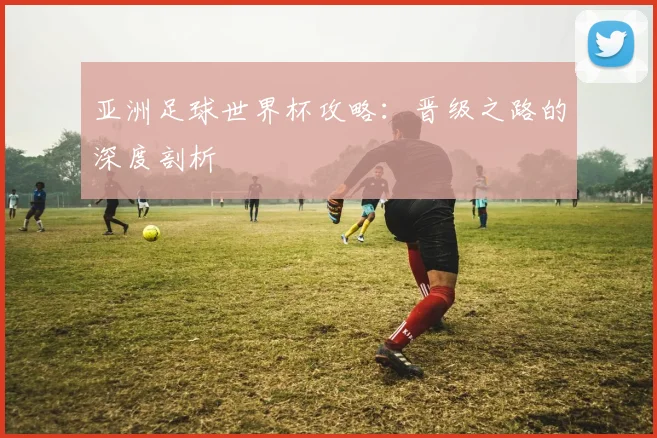 亚洲足球世界杯攻略:晋级之路的深度剖析