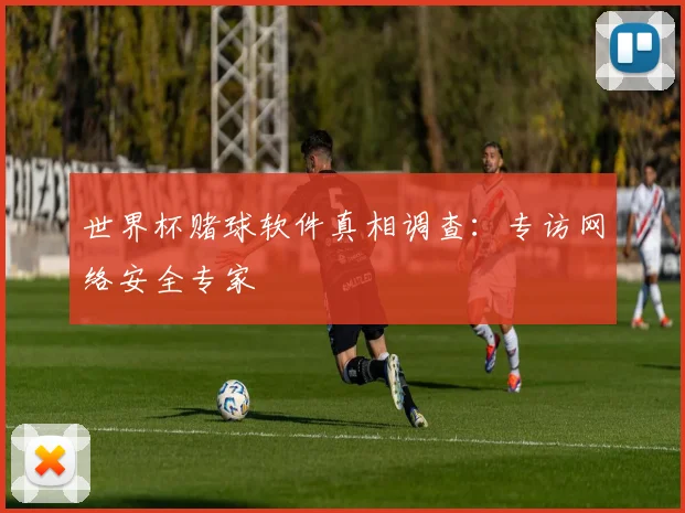 世界杯赌球软件真相调查：专访网络安全专家