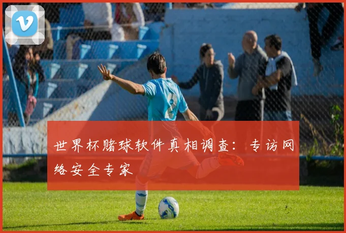 世界杯赌球软件真相调查：专访网络安全专家