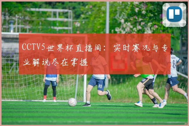 CCTV5世界杯直播间：实时赛况与专业解说尽在掌握