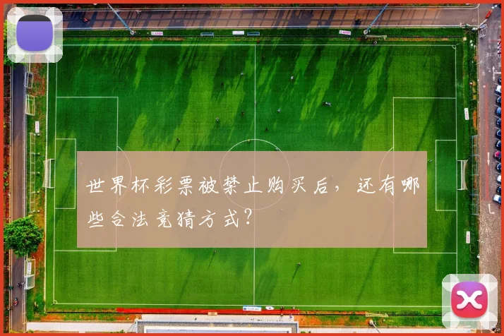 世界杯彩票被禁止购买后,还有哪些合法竞猜方式?