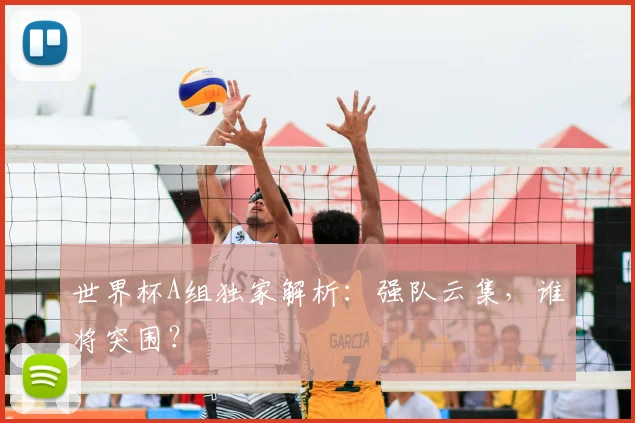 世界杯A组独家解析:强队云集,谁将突围?