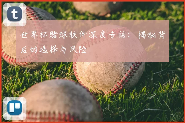 世界杯赌球软件深度专访：揭秘背后的选择与风险