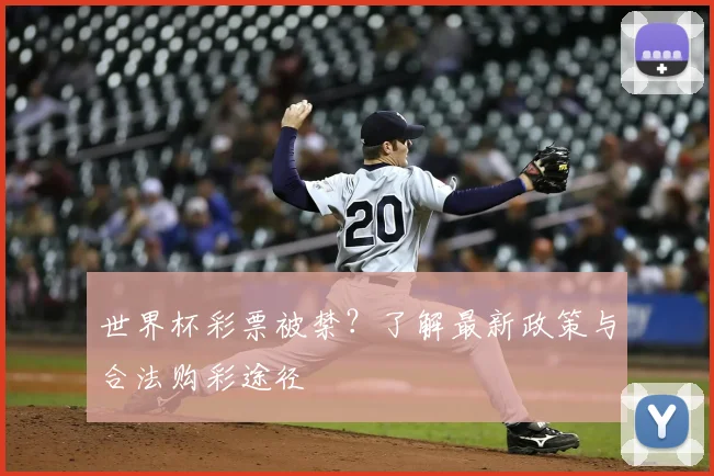 世界杯彩票被禁?了解最新政策与合法购彩途径