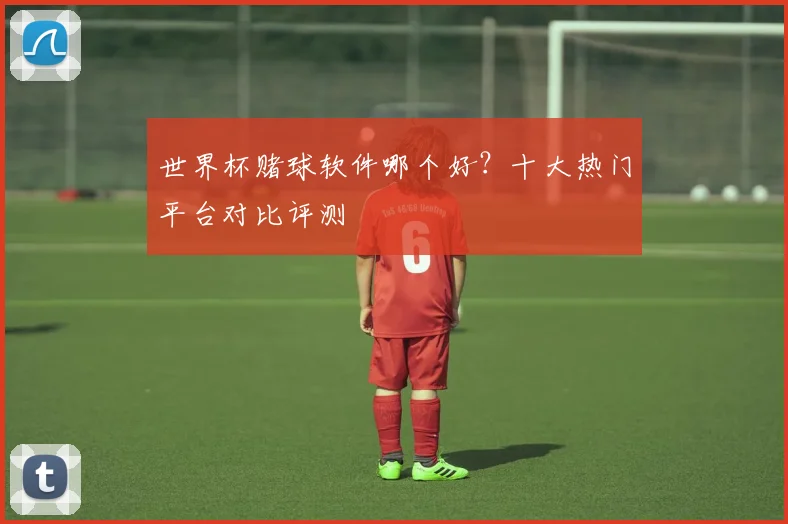 世界杯赌球软件哪个好？十大热门平台对比评测