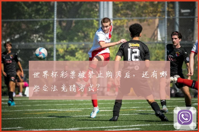 世界杯彩票被禁止购买后,还有哪些合法竞猜方式?