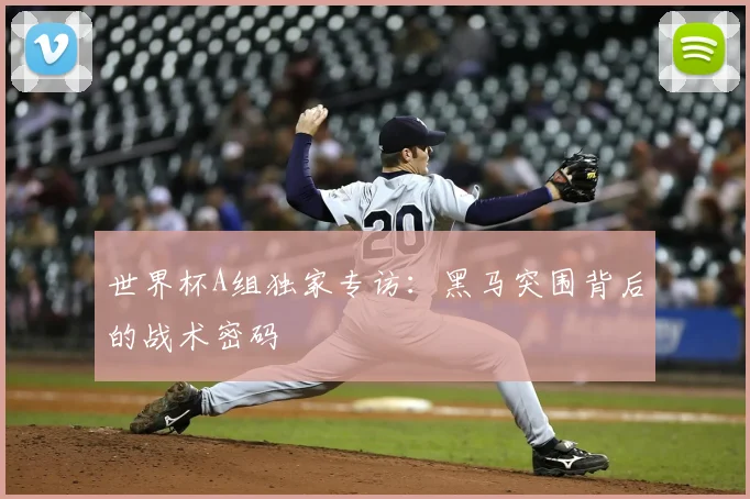 世界杯A组独家专访：黑马突围背后的战术密码