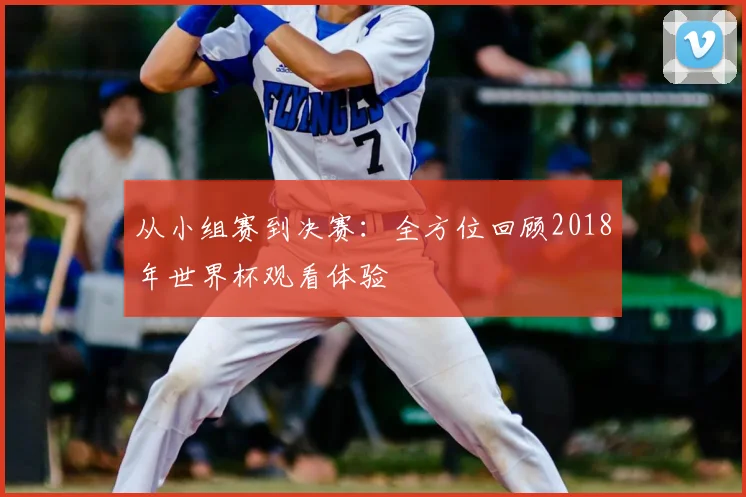 从小组赛到决赛：全方位回顾2018年世界杯观看体验
