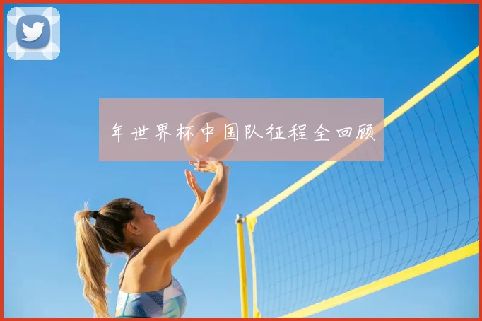 年世界杯中国队征程全回顾