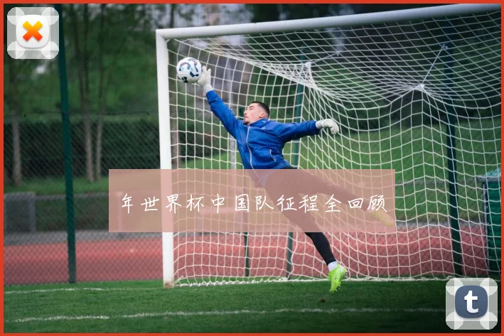 年世界杯中国队征程全回顾